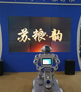 《灵帅》--中国·江苏现代农业科技大会的闪耀之星